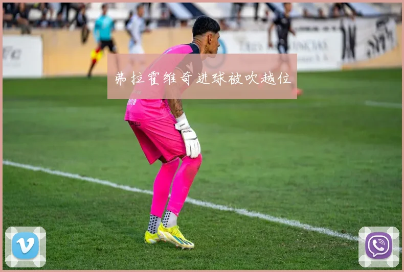 弗拉霍维奇进球被吹越位